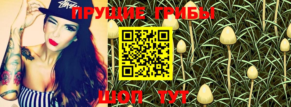 Псилоцибиновые грибы Psilocybe  даркнет сайт  Михайловка  Вход с VPN 